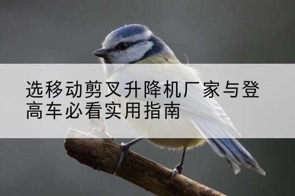 丰泽电动升降机厂家-选移动剪叉升降机厂家与登高车必看实用指南