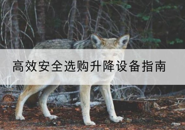 丰泽升降货梯厂家推荐-*安全选购升降设备指南