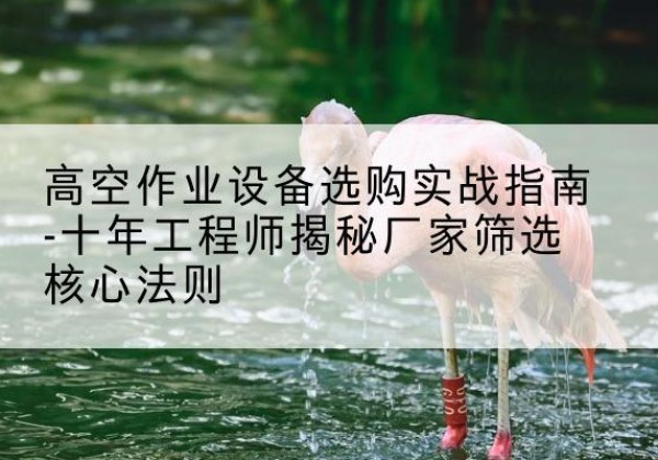 丰泽剪叉式升降机厂家-高空作业设备选购实战指南-十年工程师揭秘厂家筛选核心法则
